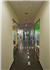 New Castelar College: Colegio Privado en San Pedro del Pinatar,Infantil,Primaria,Secundaria,Inglés,Laico,